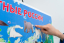 Фото - стенд тактильно-звуковой животные россии (с индукционной петлей) Стенд тактильно-звуковой Животные России (с индукционной петлей)