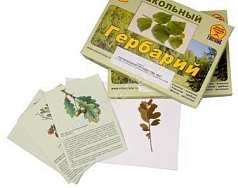 http://novacia72.ru/d/383128/d/bio-028.jpg