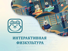 Программное обеспечение Интерактивная физкультура