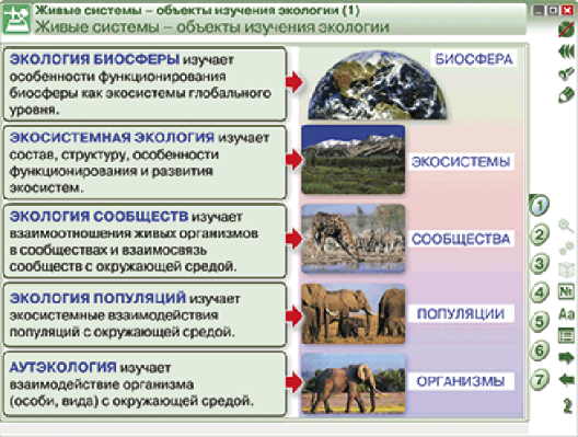 Пособие для интерактивной доски Введение в экологию